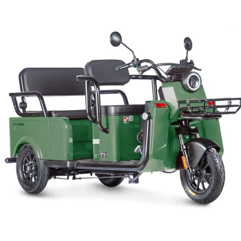 Электротрицикл Wanshida LC-F200 60V 1000Вт Зеленый