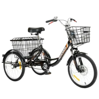 Трехколесный велосипед для взрослых РВЗ Чемпион 20" 1 скорость